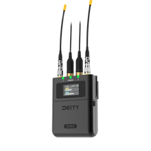 THEOS Digital Wireless 2ch Kit (US)