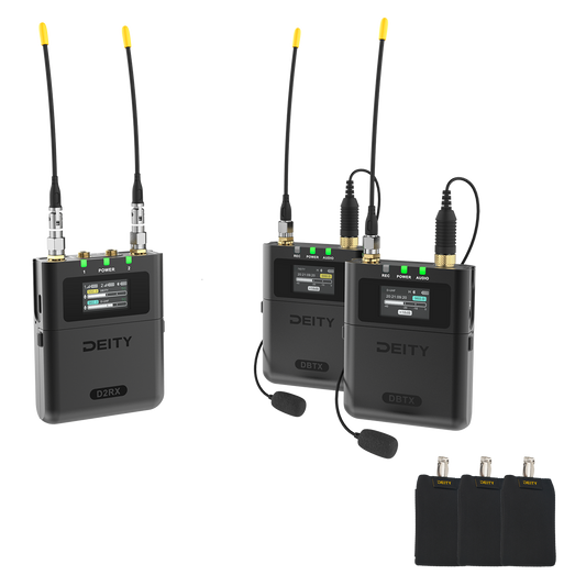 THEOS Digital Wireless 2ch Kit (US)