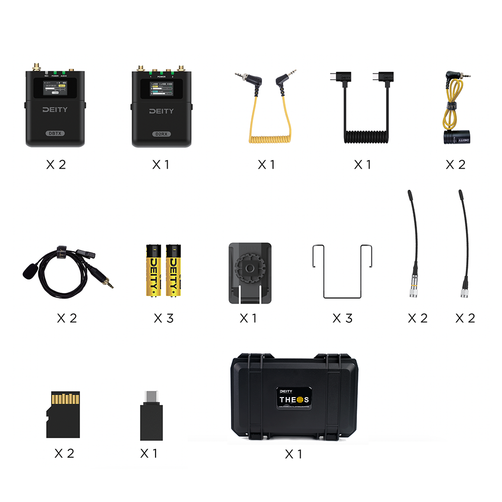 THEOS Digital Wireless 2ch Kit (US)