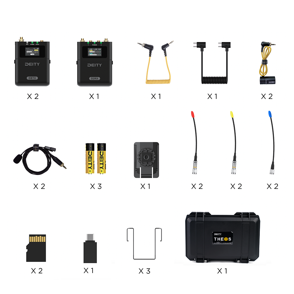 THEOS Digital Wireless 2ch Kit (US)